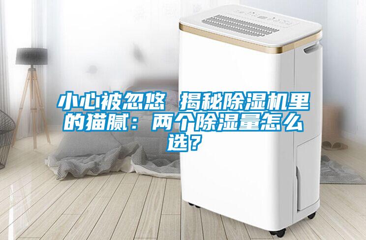 小心被忽悠 揭秘除濕機(jī)里的貓膩：兩個(gè)除濕量怎么選？