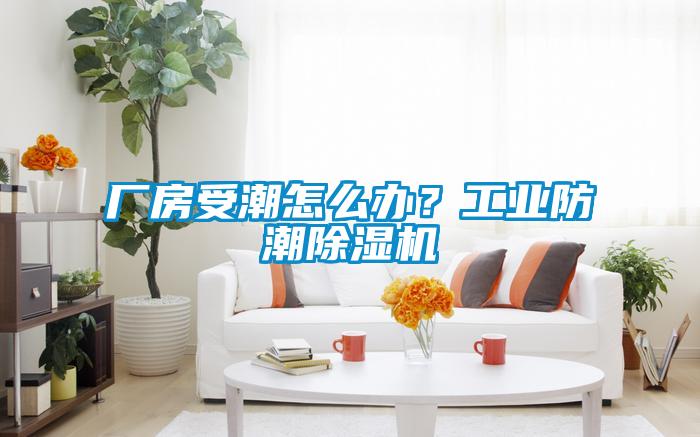 廠房受潮怎么辦？工業(yè)防潮除濕機