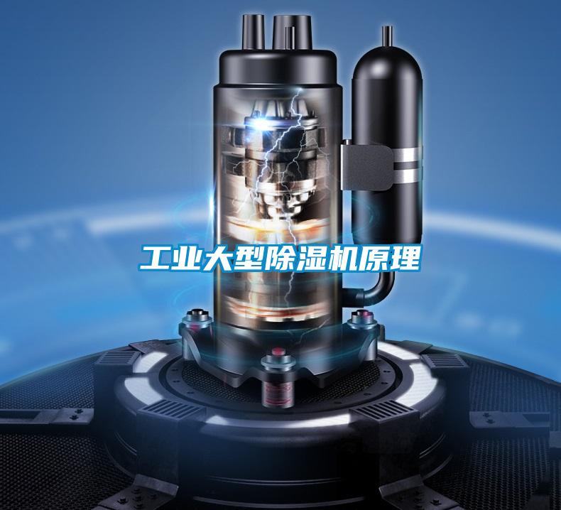 工業(yè)大型除濕機(jī)原理