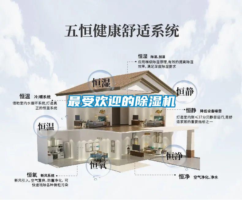 最受歡迎的除濕機