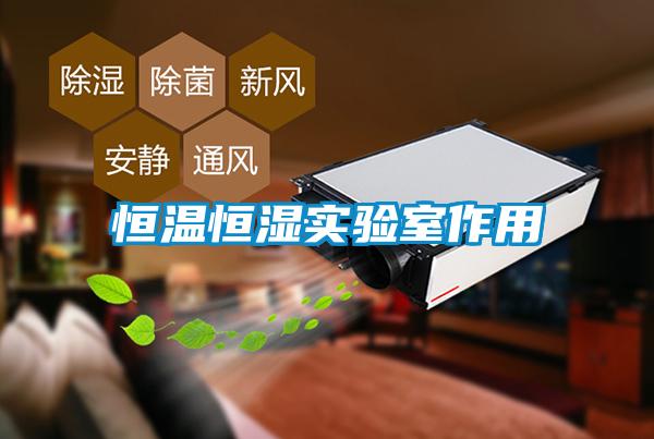 恒溫恒濕實(shí)驗(yàn)室作用
