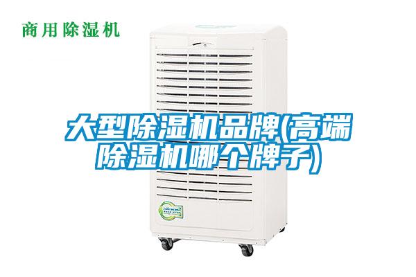 大型除濕機(jī)品牌(高端除濕機(jī)哪個(gè)牌子)