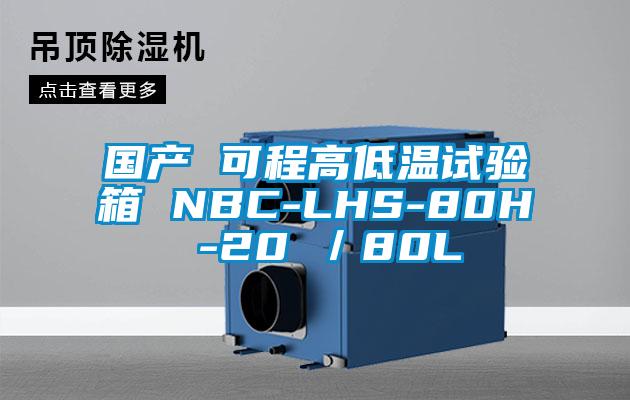 國產(chǎn) 可程高低溫試驗箱 NBC-LHS-80H -20℃/80L