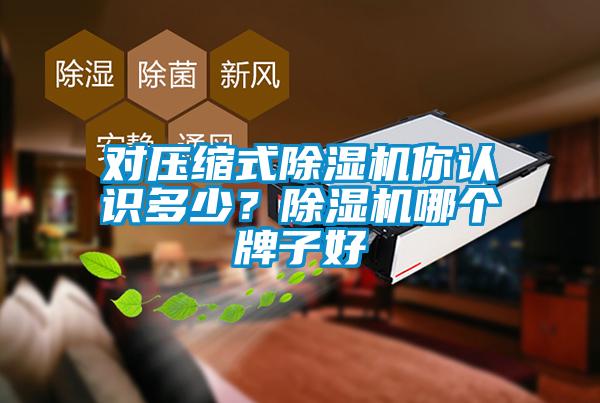 對(duì)壓縮式除濕機(jī)你認(rèn)識(shí)多少？除濕機(jī)哪個(gè)牌子好
