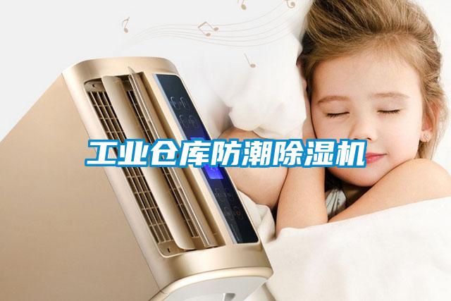 工業(yè)倉(cāng)庫(kù)防潮除濕機(jī)