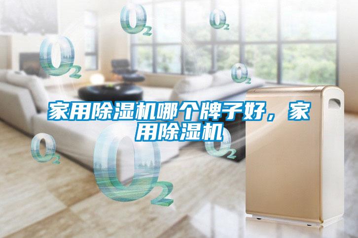 家用除濕機(jī)哪個(gè)牌子好，家用除濕機(jī)