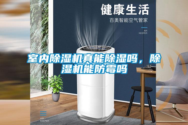 室內(nèi)除濕機(jī)真能除濕嗎，除濕機(jī)能防霉嗎