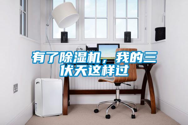 有了除濕機，我的三伏天這樣過