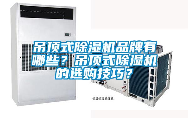 吊頂式除濕機品牌有哪些？吊頂式除濕機的選購技巧？