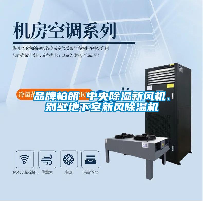 品牌柏朗 中央除濕新風(fēng)機(jī)、別墅地下室新風(fēng)除濕機(jī)