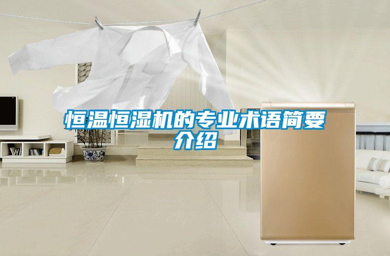 恒溫恒濕機的專業(yè)術(shù)語簡要介紹
