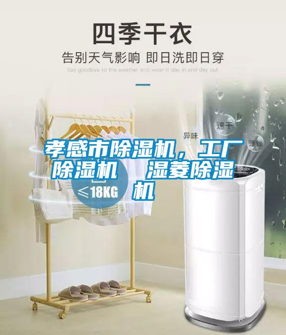 孝感市除濕機(jī)，工廠除濕機(jī)  濕菱除濕機(jī)