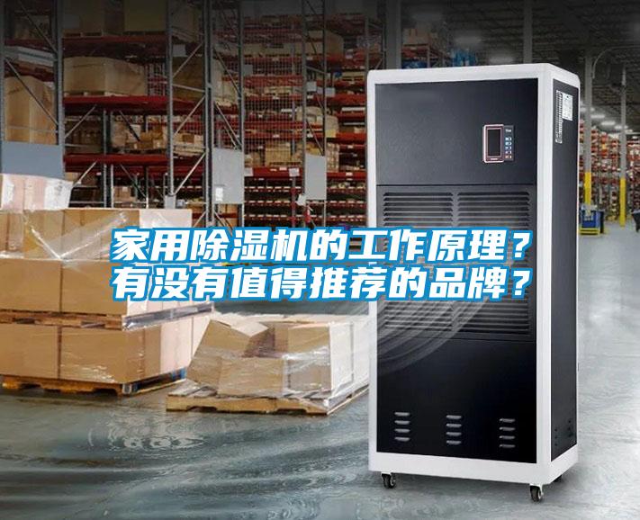 家用除濕機(jī)的工作原理？有沒有值得推薦的品牌？