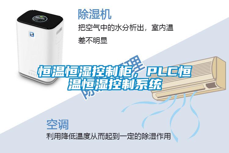 恒溫恒濕控制柜，PLC恒溫恒濕控制系統(tǒng)