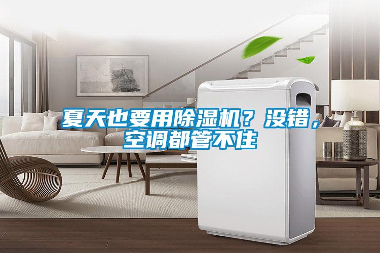 夏天也要用除濕機(jī)？沒(méi)錯(cuò)，空調(diào)都管不住