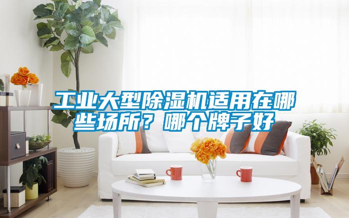 工業(yè)大型除濕機(jī)適用在哪些場所？哪個(gè)牌子好