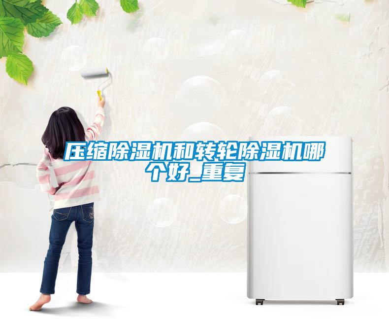 壓縮除濕機和轉(zhuǎn)輪除濕機哪個好_重復(fù)