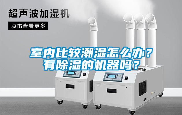 室內(nèi)比較潮濕怎么辦？有除濕的機(jī)器嗎？