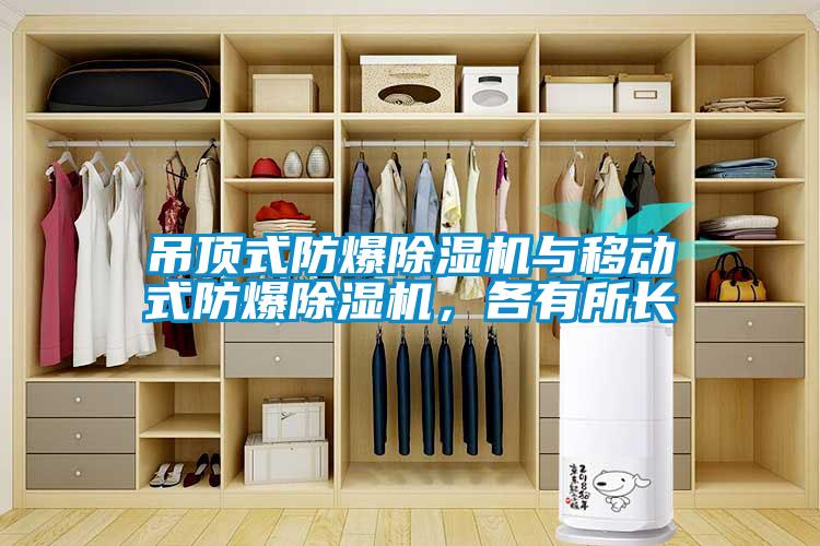 吊頂式防爆除濕機(jī)與移動(dòng)式防爆除濕機(jī)，各有所長