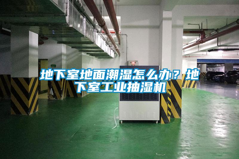 地下室地面潮濕怎么辦？地下室工業(yè)抽濕機(jī)
