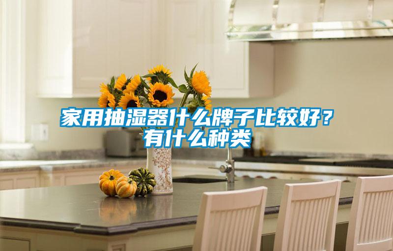 家用抽濕器什么牌子比較好？有什么種類