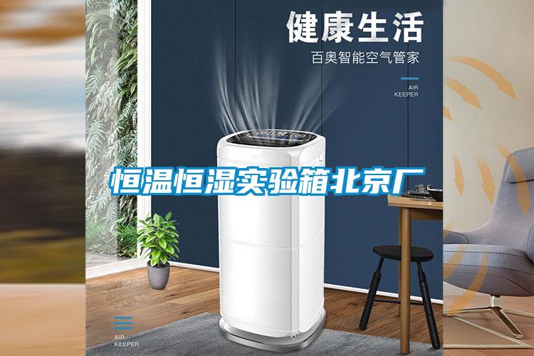 恒溫恒濕實驗箱北京廠
