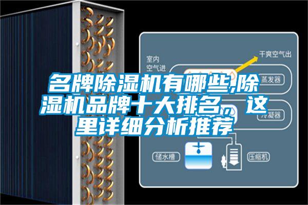 名牌除濕機有哪些,除濕機品牌十大排名，這里詳細(xì)分析推薦