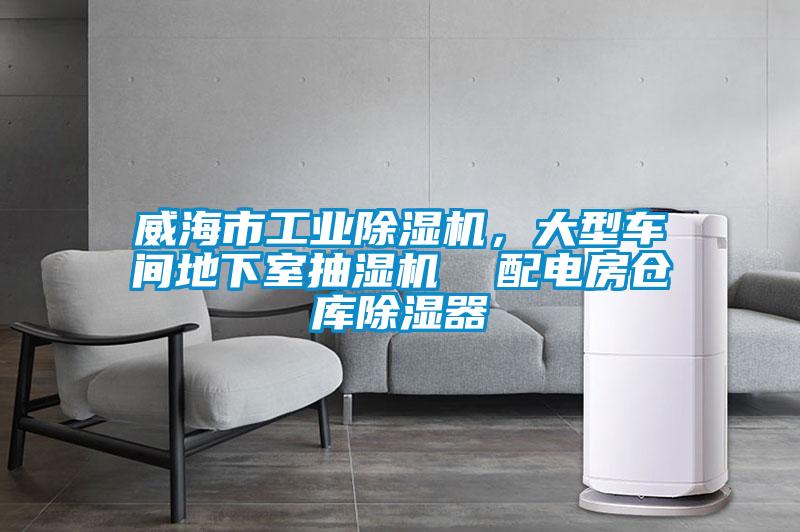 威海市工業(yè)除濕機(jī)，大型車間地下室抽濕機(jī)  配電房倉庫除濕器