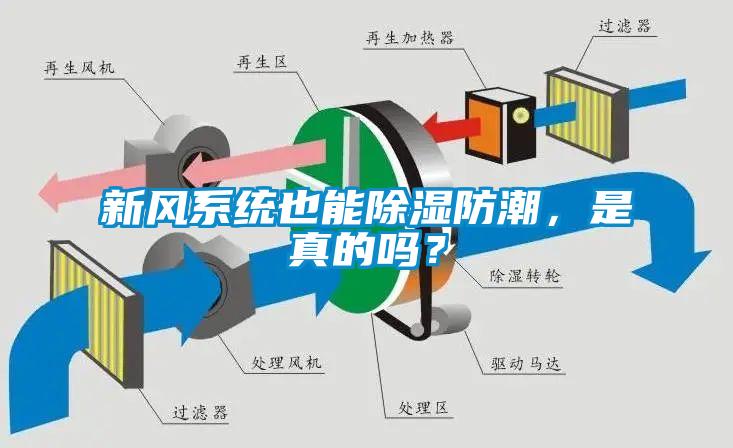 新風(fēng)系統(tǒng)也能除濕防潮，是真的嗎？