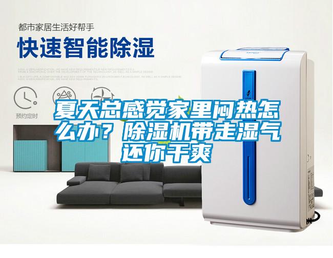 夏天總感覺家里悶熱怎么辦？除濕機(jī)帶走濕氣還你干爽