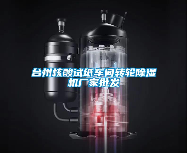 臺(tái)州核酸試紙車間轉(zhuǎn)輪除濕機(jī)廠家批發(fā)