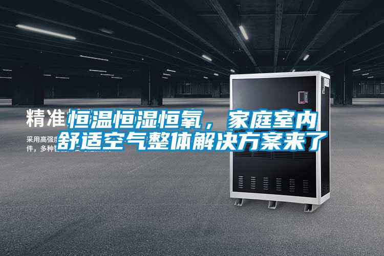 恒溫恒濕恒氧，家庭室內(nèi)舒適空氣整體解決方案來了