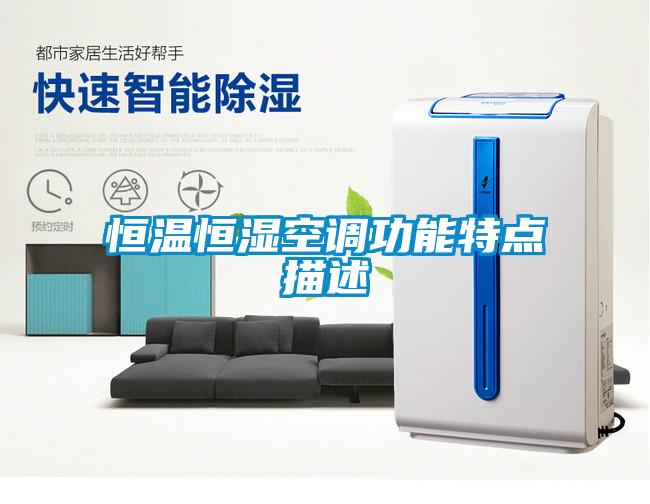 恒溫恒濕空調(diào)功能特點描述