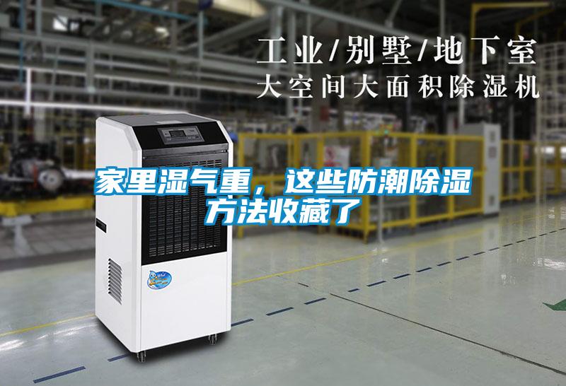 家里濕氣重，這些防潮除濕方法收藏了