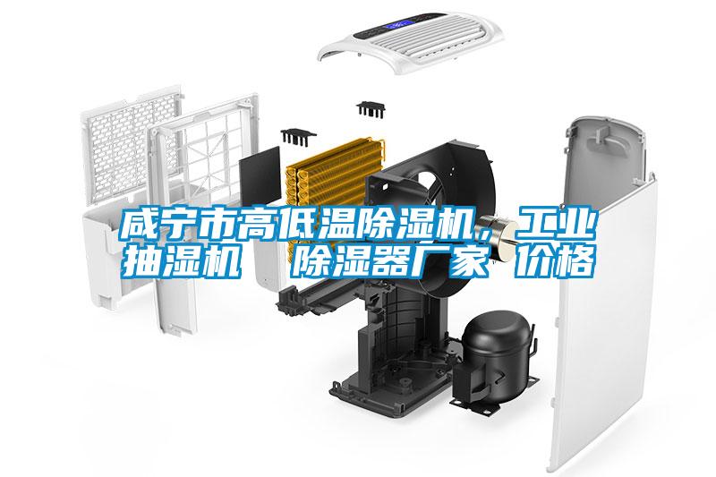 咸寧市高低溫除濕機(jī)，工業(yè)抽濕機(jī)  除濕器廠家 價(jià)格