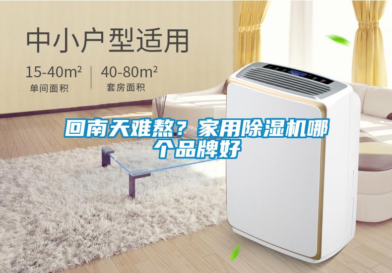 回南天難熬？家用除濕機(jī)哪個品牌好