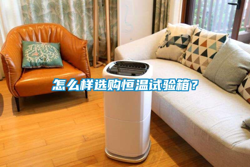 怎么樣選購(gòu)恒溫試驗(yàn)箱？