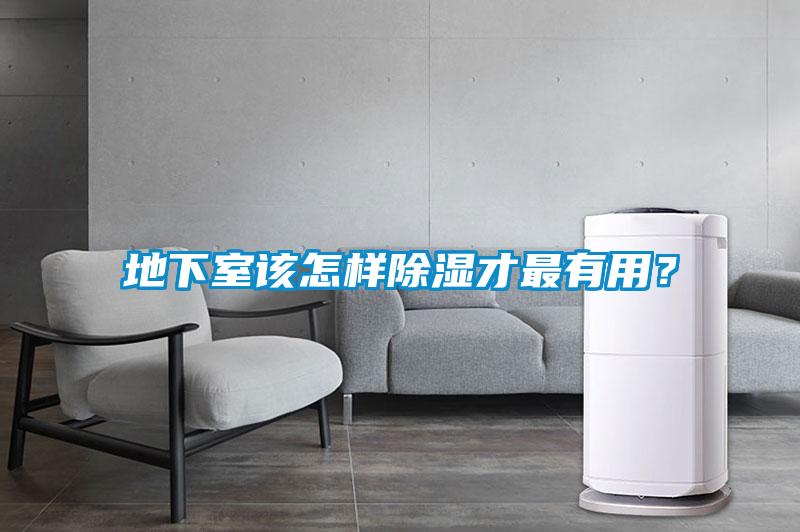 地下室該怎樣除濕才最有用？