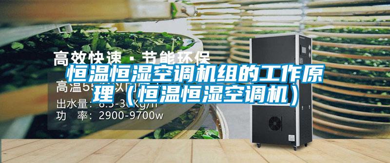 恒溫恒濕空調(diào)機(jī)組的工作原理（恒溫恒濕空調(diào)機(jī)）