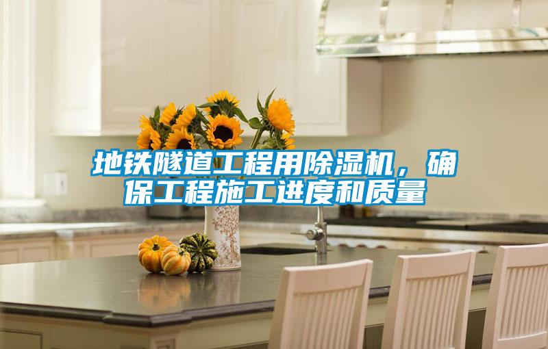 地鐵隧道工程用除濕機，確保工程施工進度和質(zhì)量