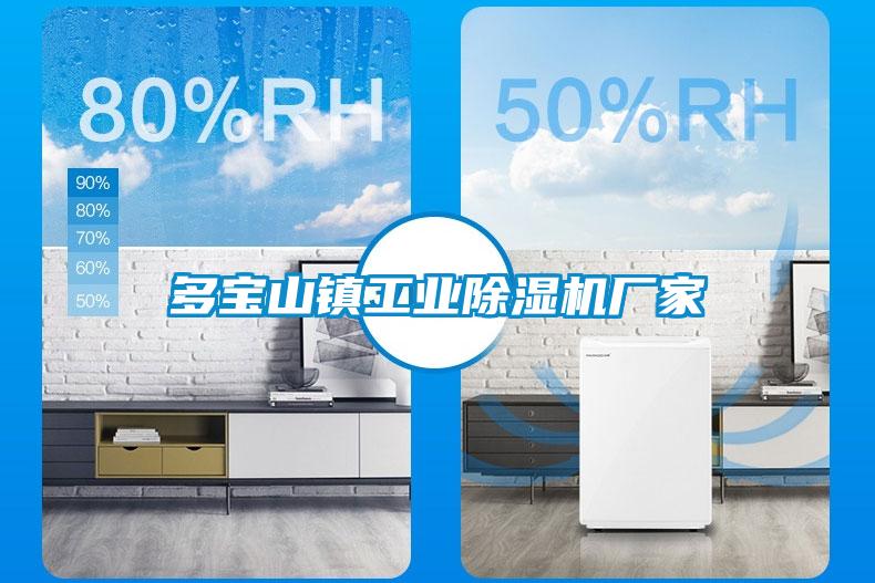 多寶山鎮(zhèn)工業(yè)除濕機(jī)廠家