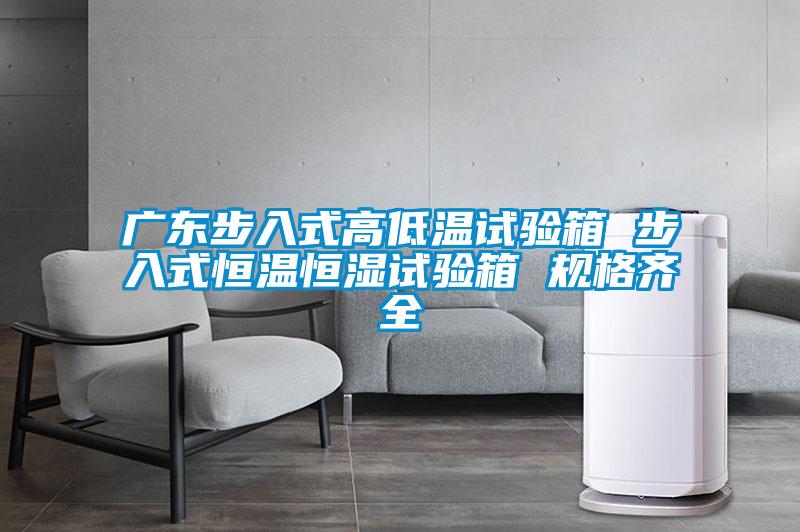 廣東步入式高低溫試驗(yàn)箱 步入式恒溫恒濕試驗(yàn)箱 規(guī)格齊全