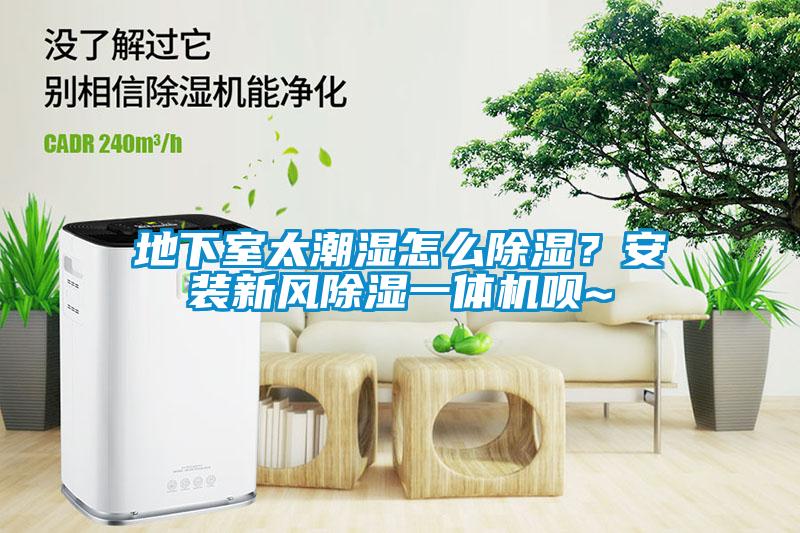 地下室太潮濕怎么除濕？安裝新風除濕一體機唄~