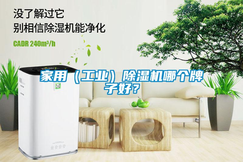 家用（工業(yè)）除濕機哪個牌子好？