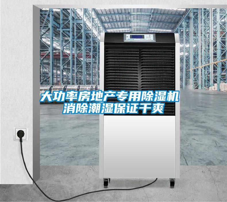 大功率房地產(chǎn)專用除濕機 消除潮濕保證干爽