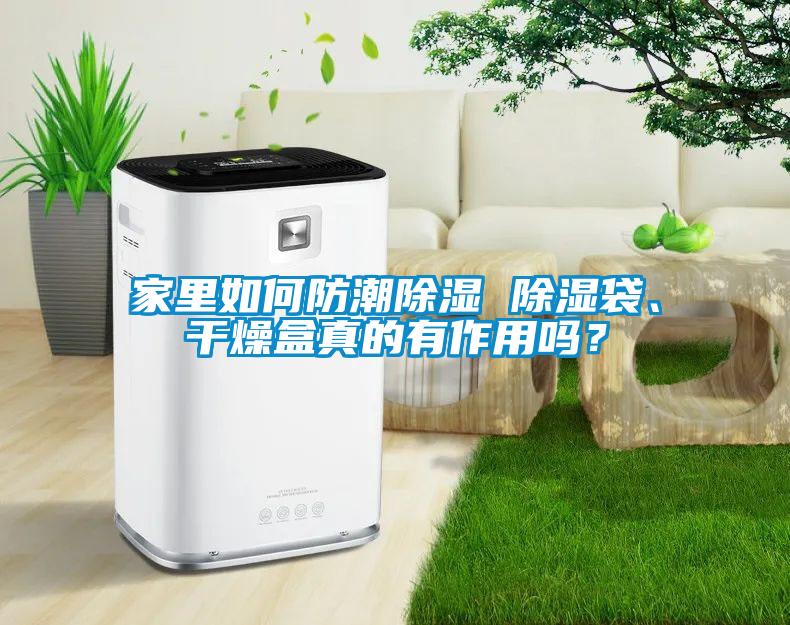 家里如何防潮除濕 除濕袋、干燥盒真的有作用嗎？