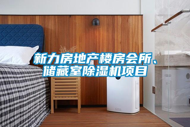新力房地產(chǎn)樓房會所、儲藏室除濕機項目