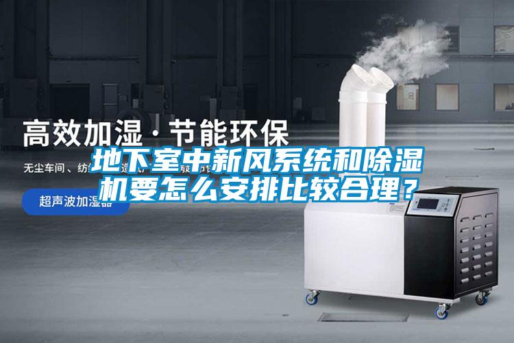 地下室中新風(fēng)系統(tǒng)和除濕機要怎么安排比較合理？