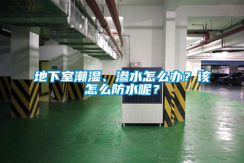 地下室潮濕、滲水怎么辦？該怎么防水呢？