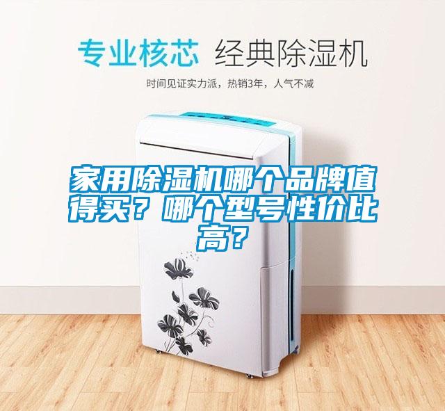家用除濕機(jī)哪個(gè)品牌值得買？哪個(gè)型號(hào)性價(jià)比高？